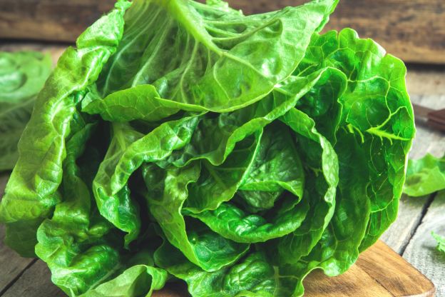 Przechowywanie sałaty