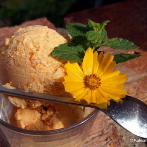 Domowe lody morelowe