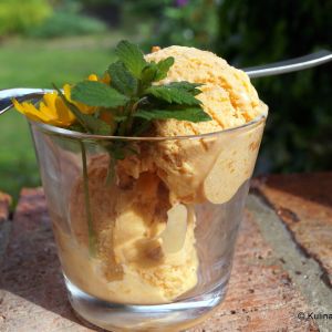 domowe_lody_morelowe