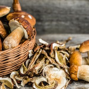 Jak suszyć grzyby? Starannie i dokładnie