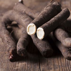 Wężymord - skorzonera