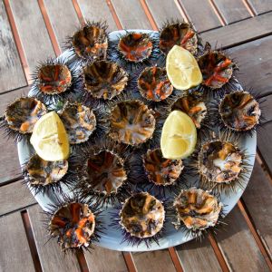 Jeżowiec - morski przysmak