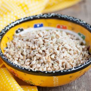 af43920848c14cef224304260a15cac5b6b340c1.jpeg?v=2