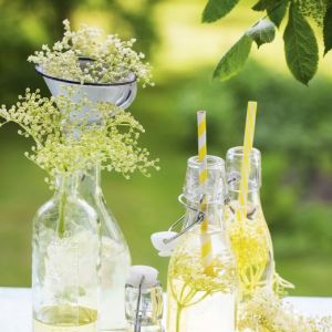 syrop-z-kwiatow-czarnego-bzu