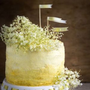 torcik-cytrynowo-bzowy