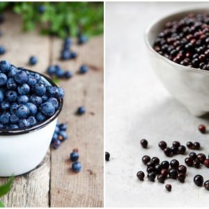 fb84bafd39e07a6fc15e11949f95d04fc508dbfb.jpeg?v=2