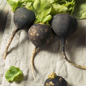 czarna-rzepa.jpeg?v=2