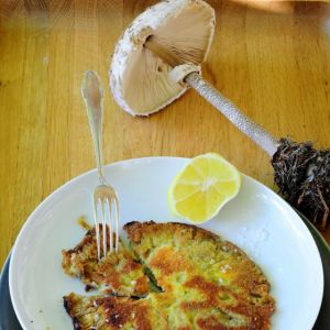 kanie-w-kwasnej-zalewie