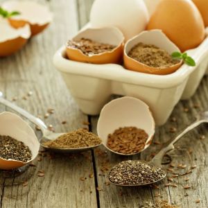 e4411dea20384f441ed438acb2ddfe53461e79bc.jpeg?v=2