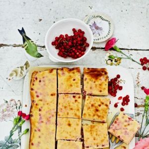 sernik-z-czerwonymi-porzeczkami