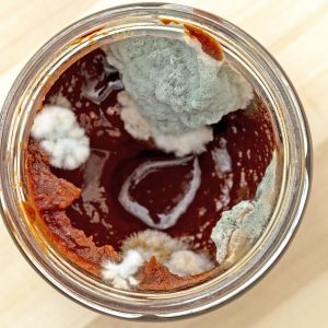 pleśń w koncentracie pomidorowy