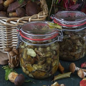 4877f9abd15bc5bca1b2c64f7205dd2b69af4f7f