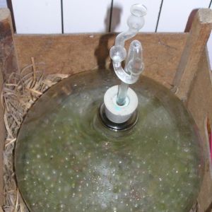 41233db19c42480dcc05d0933495fc9daf6924c1