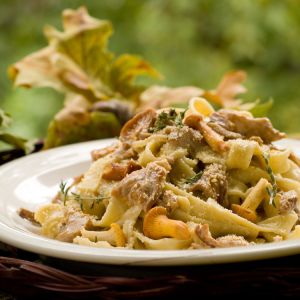 2f51e11c8f728dacbc9decd437b5d50b79e0d826