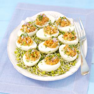 2d4075a9539fbe2e02a77d1f7d94bcfd5de714b6