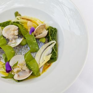 c0f7381a07e060378dfb3f94bce8615c95887985