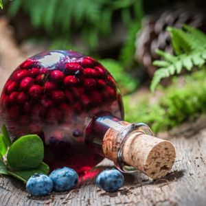 nalewka-borówki-amerykańskie