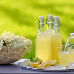 Nalewka z kwiatów czarnego bzu