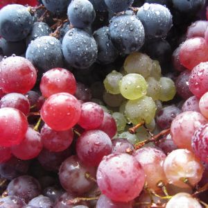 Białe i czerwone winogrona