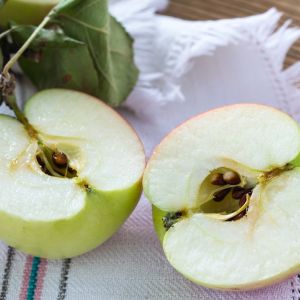 Czy pestki jabłek są trujące