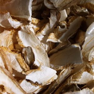 jak przechowywać suszone grzyby