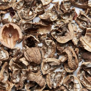 łupiny orzechów włoskich