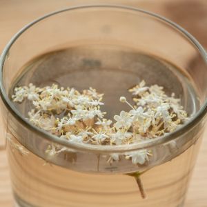 syrop z kwiatów czarnego bzu