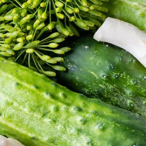 szybkie ogórki małosolne