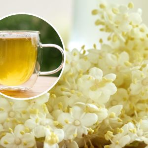 herbatka z kwiatów czarnego bzu