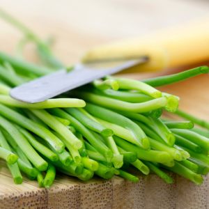 jak przechowywać szczypiorek