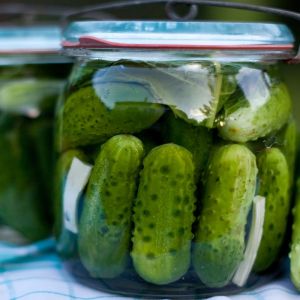 ogórki watykańskie