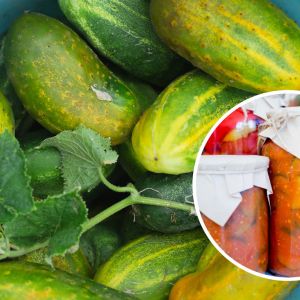 ogórki w pomidorach