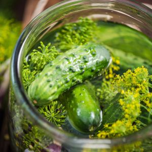 ogórki kiszone z cytryną