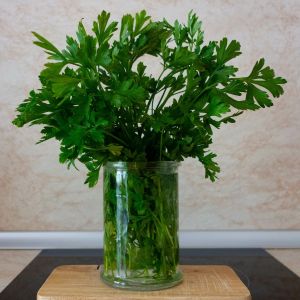 jak odświeżyć natkę pietruszki