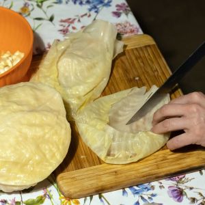 kapusta na gołąbki