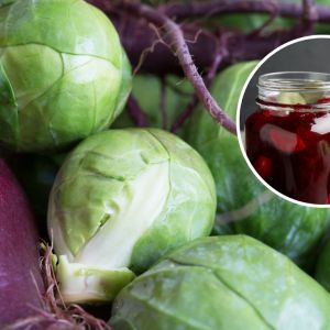 kiszona brukselka z burakami