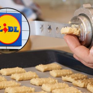 Maszynka do mielenia Lidl