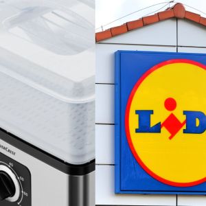 Pasztet na parze Lidl