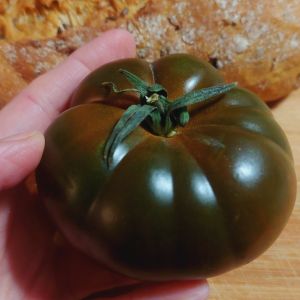 pomidor czekoladowy