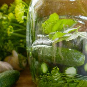 kiszenie ogorków z liśćmi porzeczki