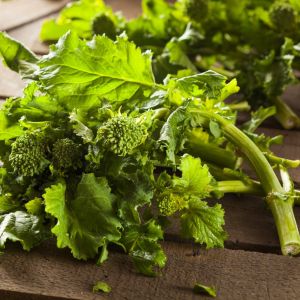 rapini