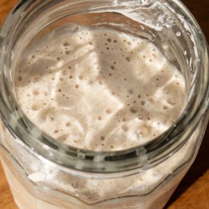 czy zakwas na żurek może gazować