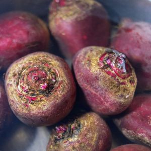 buraki nie tracą koloru