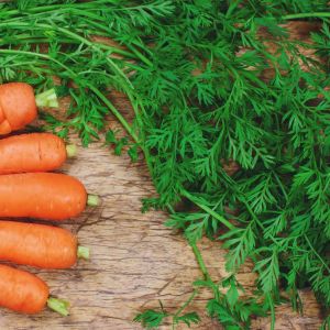 co zrobić z natką marchewki