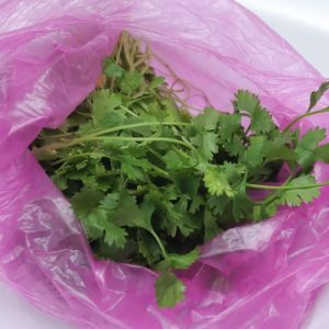świeża kolendra w siatce