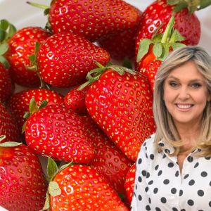 truskawki Ewa Wachowicz