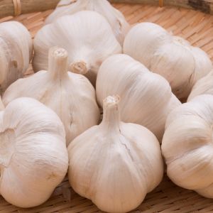 Przechowywanie czosnku