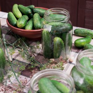 nakłuwanie ogórków przed kiszeniem