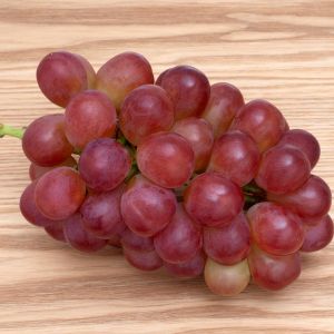 winogrona królowej Niny