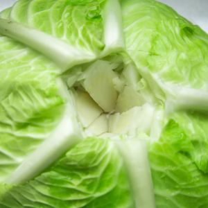 kapusta na gołąbki